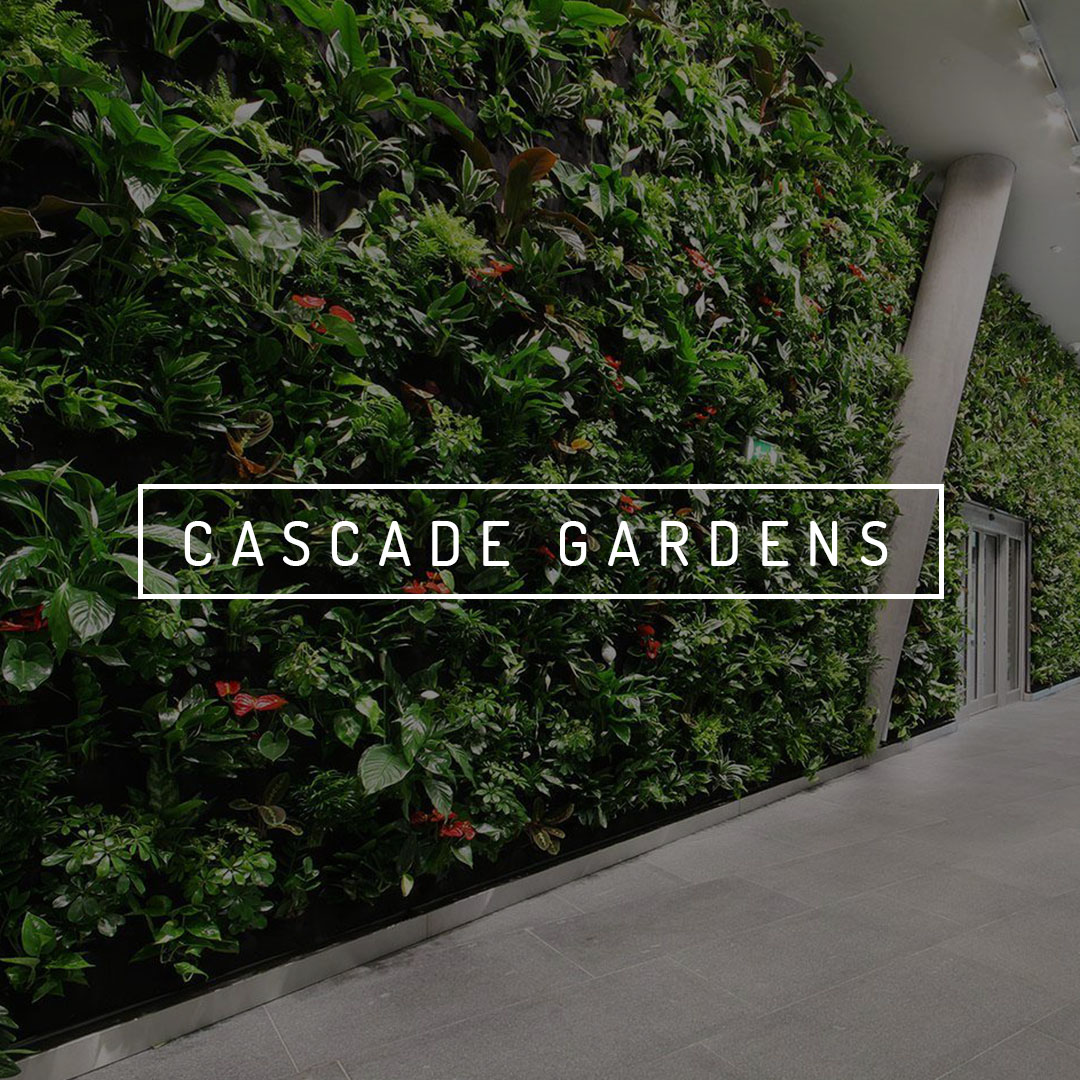 Cascade Gardens